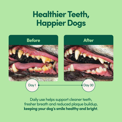 Bebova Breath Buddy Dog Dental Powder for Teeth Cleaning