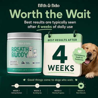 Bebova Breath Buddy Dog Dental Powder for Teeth Cleaning