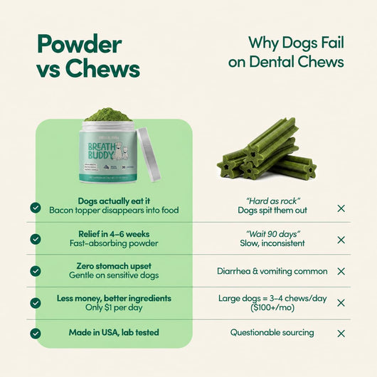 Bebova Breath Buddy Dog Dental Powder for Teeth Cleaning