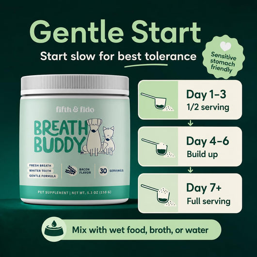 Bebova Breath Buddy Dog Dental Powder for Teeth Cleaning