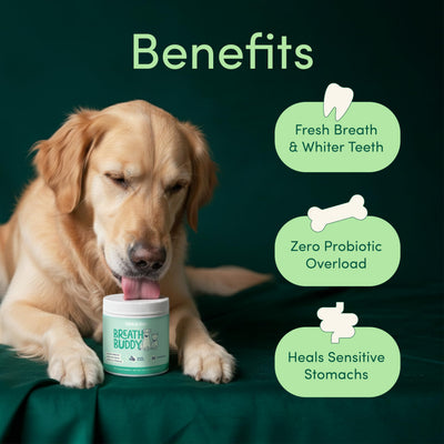 Bebova Breath Buddy Dog Dental Powder for Teeth Cleaning